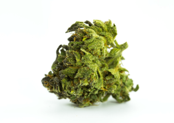 Green Dragon Marijuana Strain