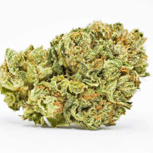 Platinum Cookies Cannabis strain